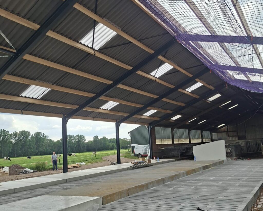 Dairy stable under construction, with steel roof beams, concrete floor, purple netting, a worker, and cows grazing in fields beyond.